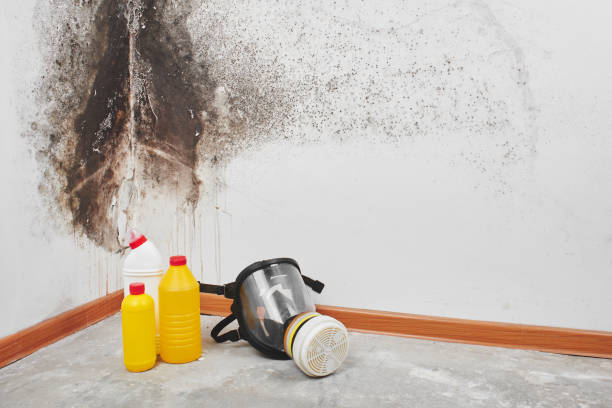 Best Industrial Mold Remediation  in Moosic, PA